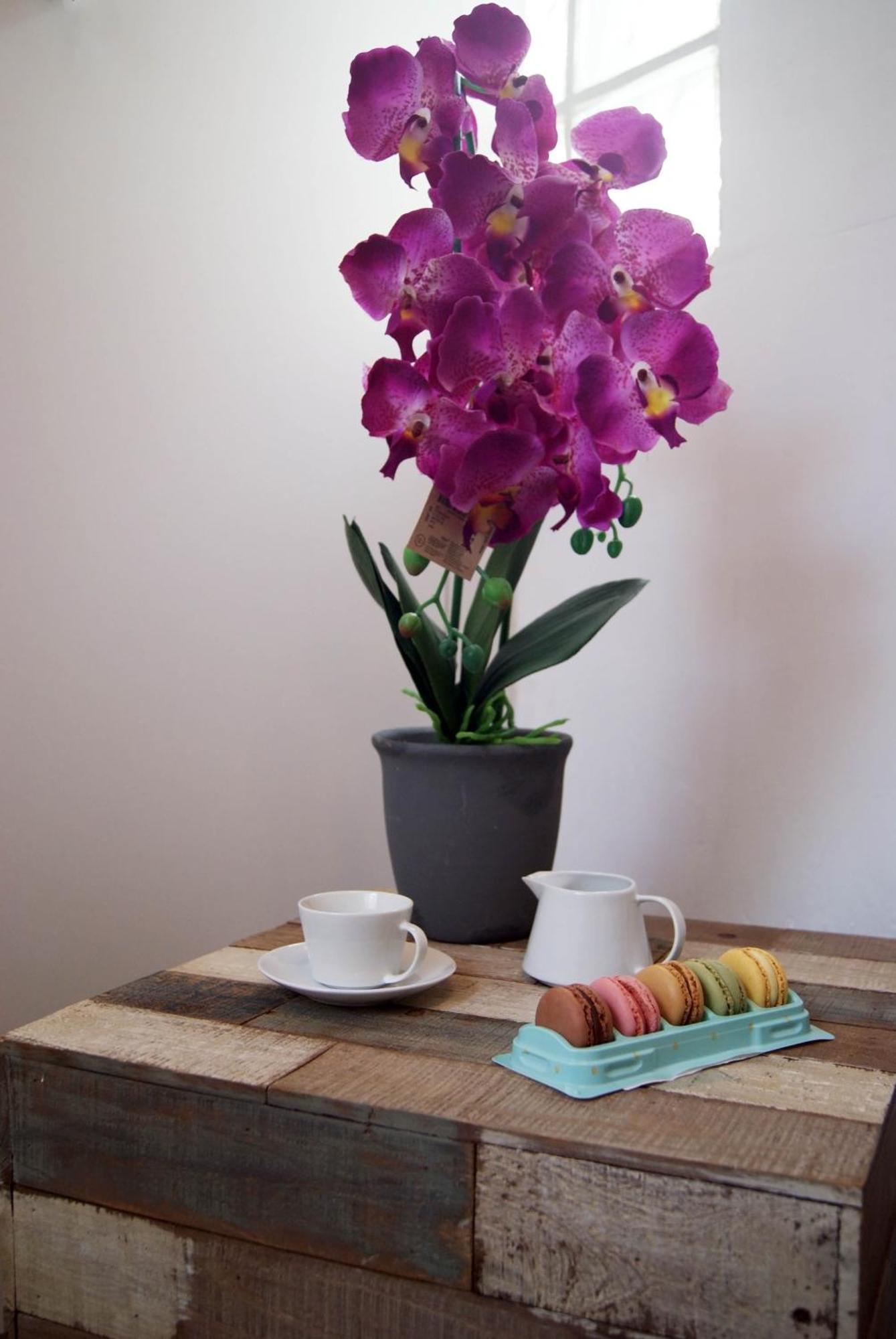 Apartamentos Centricos Barrio Del Carmen Valencia Bagian luar foto