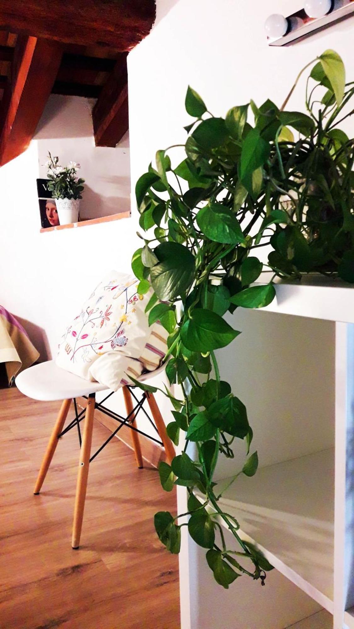 Apartamentos Centricos Barrio Del Carmen Valencia Bagian luar foto